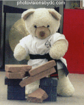 Karate Bear
